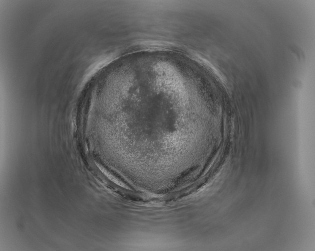 X0000111661261200907311131