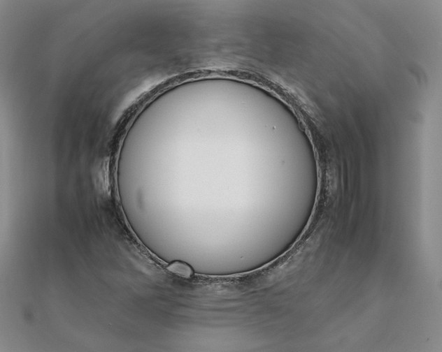 X0000111661262200907311131