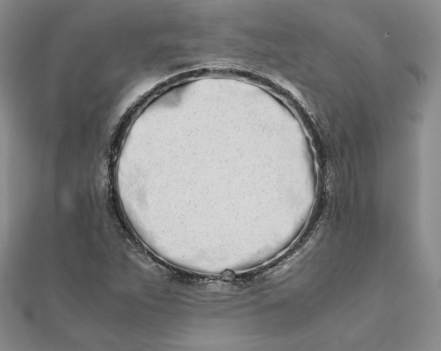 X0000111661263200907311131