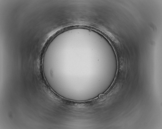 X0000111661264200907311131