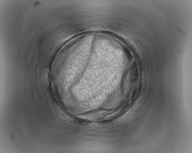 X0000111661265200907311131