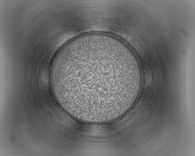 X0000111661266200907311131