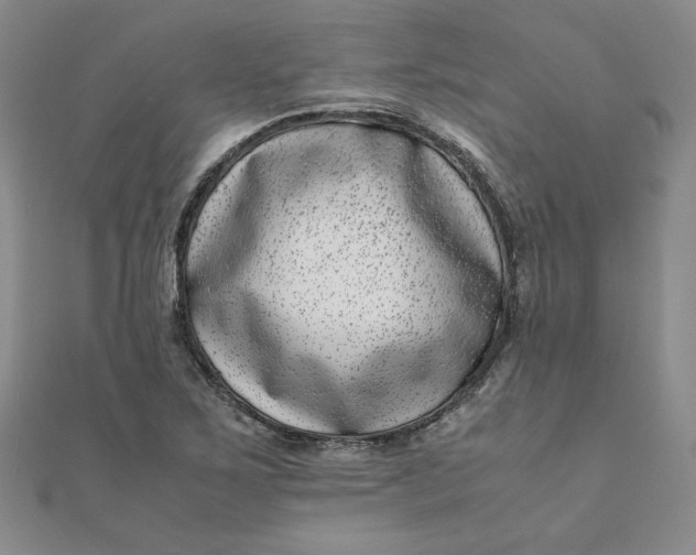 X0000111661267200907311131