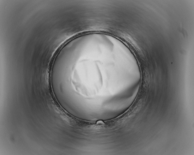 X0000111661268200907311131