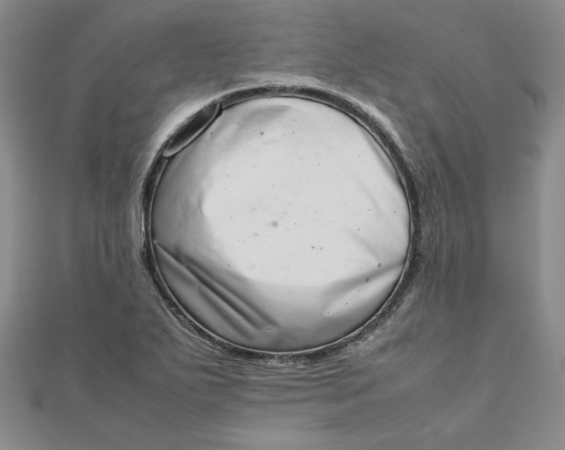 X0000111661271200907311131