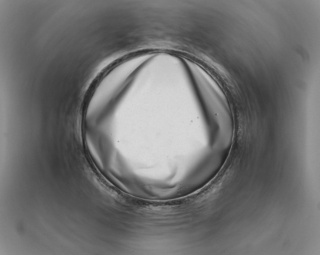 X0000111661272200907311131