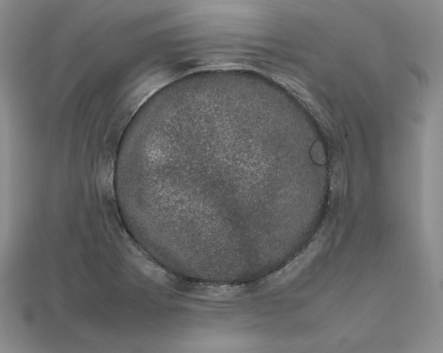 X0000111661273200907311131