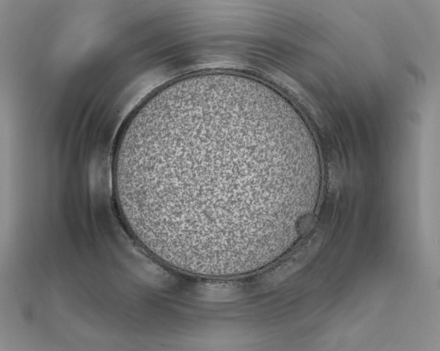 X0000111661274200907311131