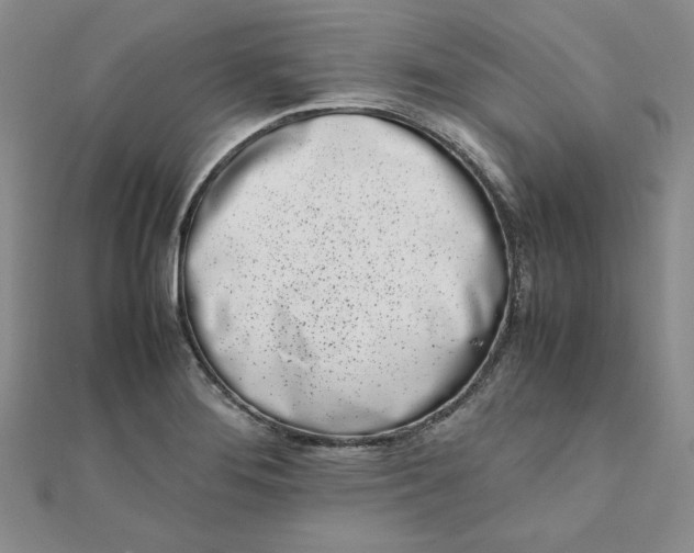 X0000111661276200907311131