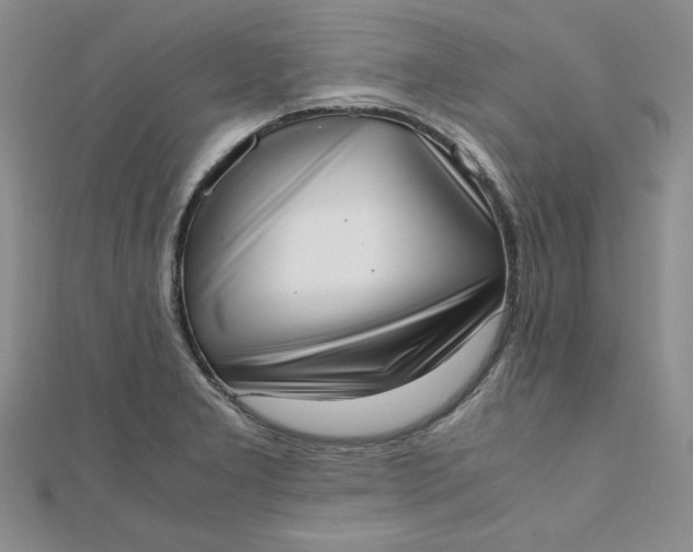 X0000111661277200907311131