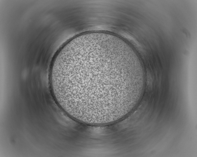 X0000111661278200907311131