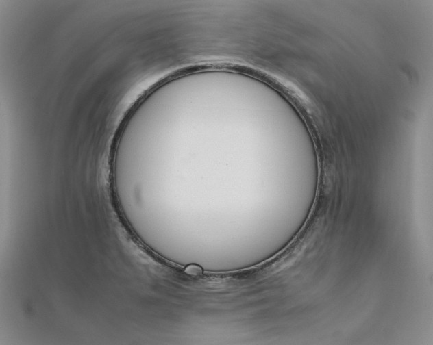 X0000111661279200907311131