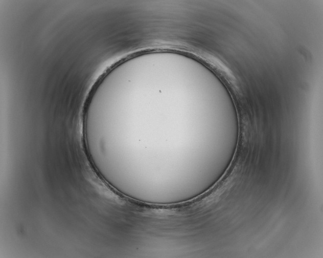 X0000111661280200907311131