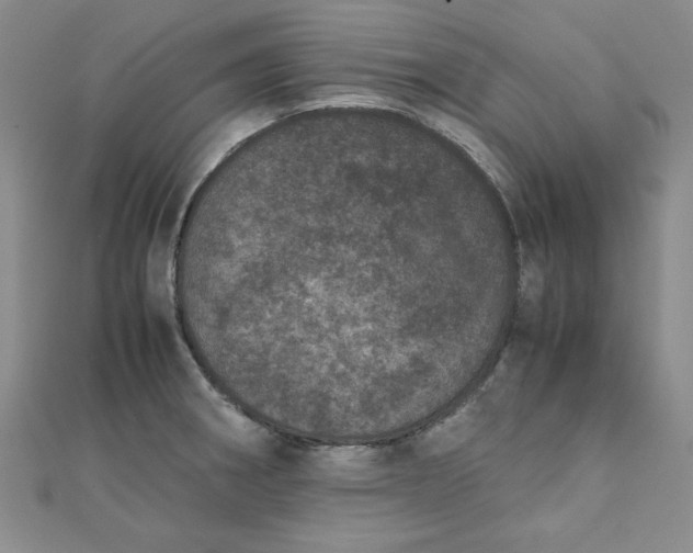 X0000111661282200907311131