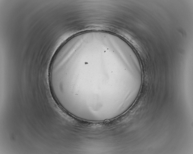 X0000111661283200907311131