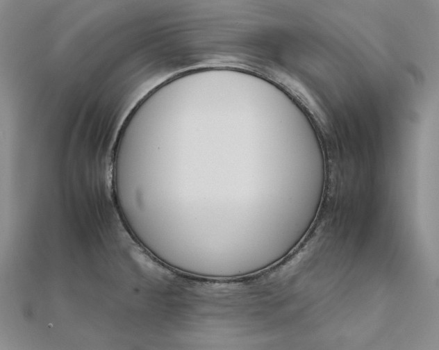 X0000111661284200907311130