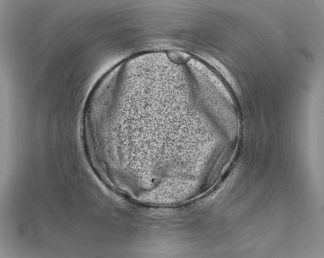 X0000111661285200907311130