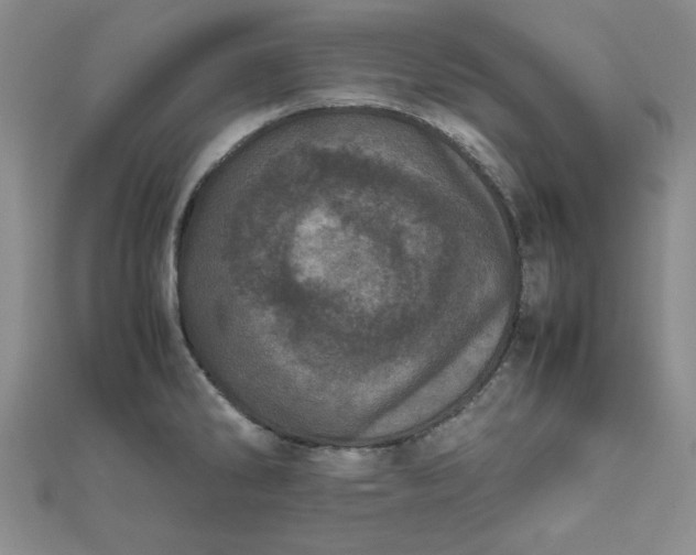 X0000111661286200907311130