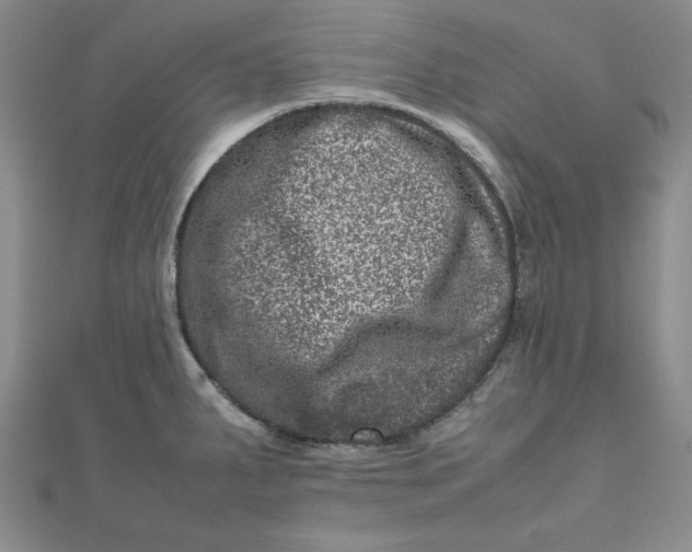 X0000111661287200907311130