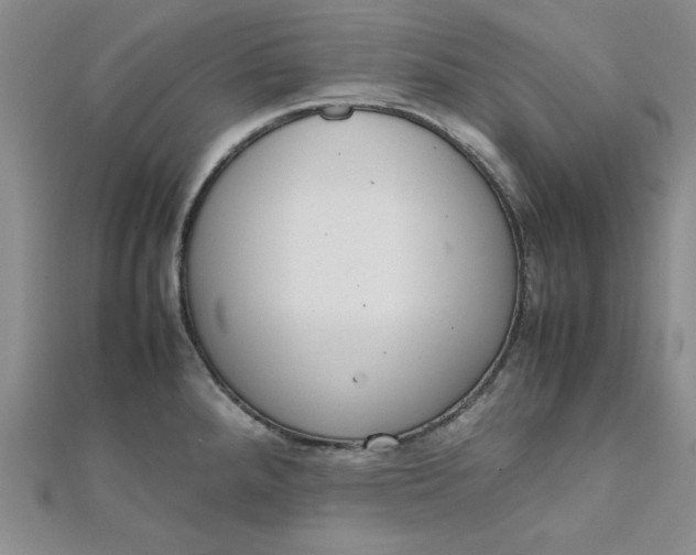 X0000111661288200907311130