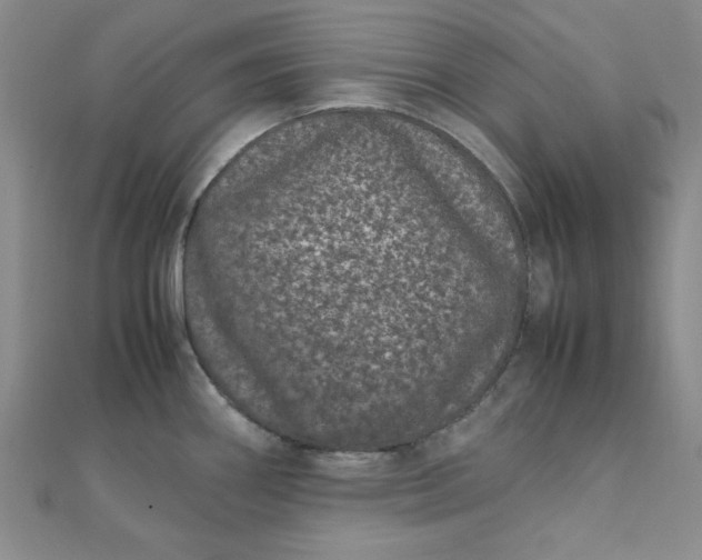 X0000111661290200907311130