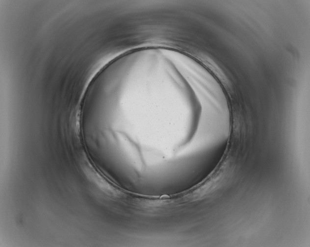 X0000111661292200907311130