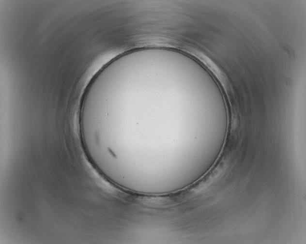 X0000111661293200907311130