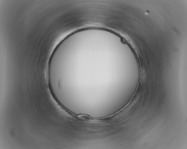 X0000111661295200907311130