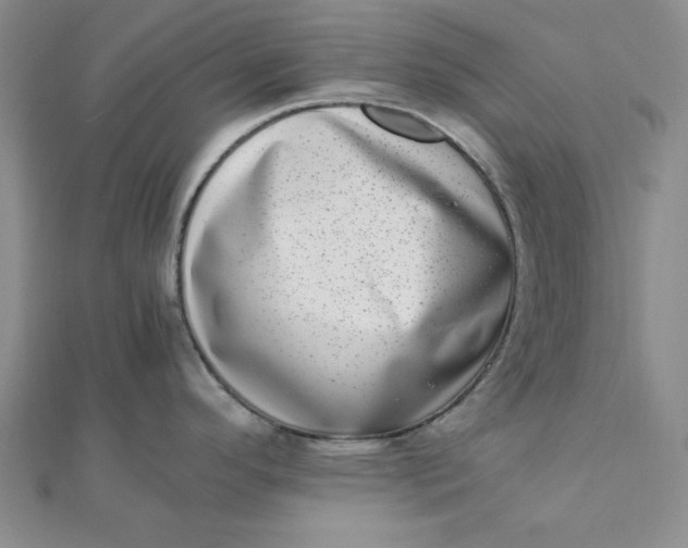 X0000111661296200907311130