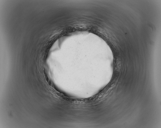 X0000111661297200907311130