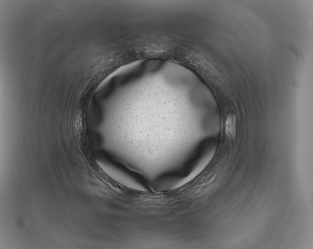 X0000111661299200907311130