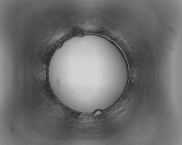 X0000111661301200907311130