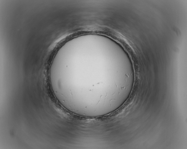 X0000111661304200907311130