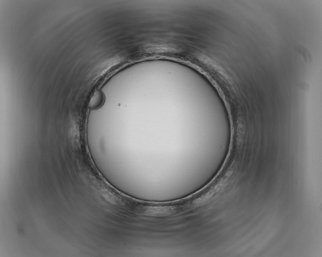 X0000111661305200907311130