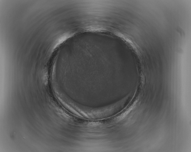 X0000111661306200907311130