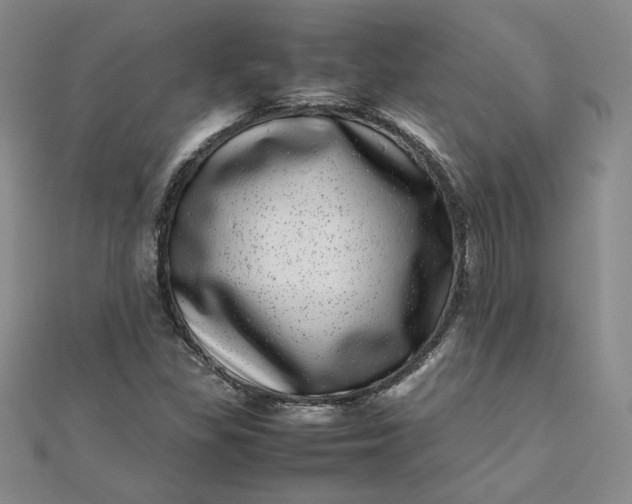 X0000111661309200907311130