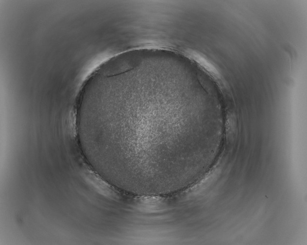 X0000111661310200907311130