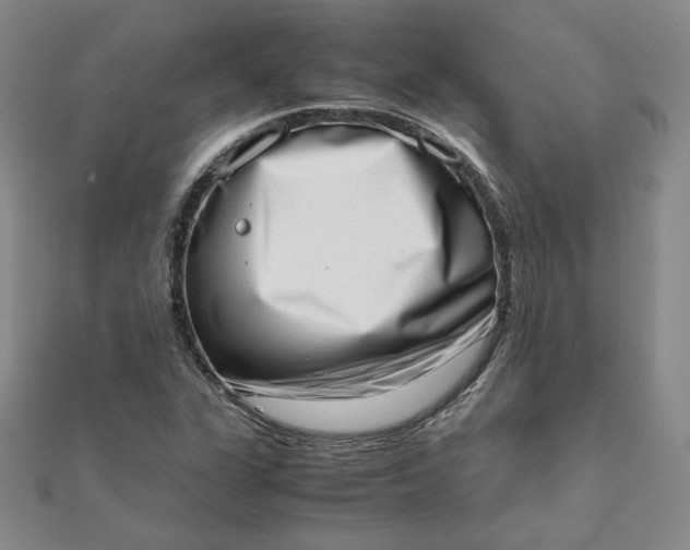 X0000111661311200907311130