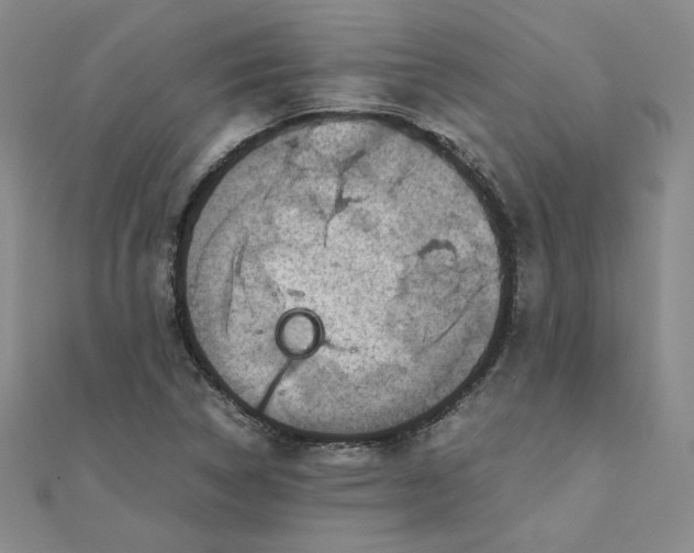 X0000111661314200907311130