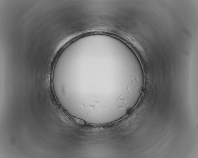 X0000111661316200907311130