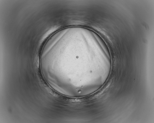 X0000111661317200907311130