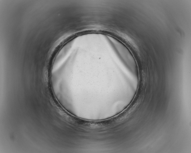 X0000111661318200907311130