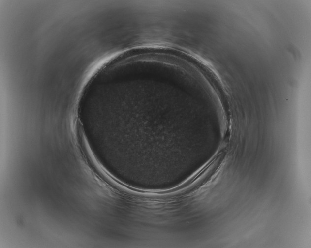 X0000111661319200907311130