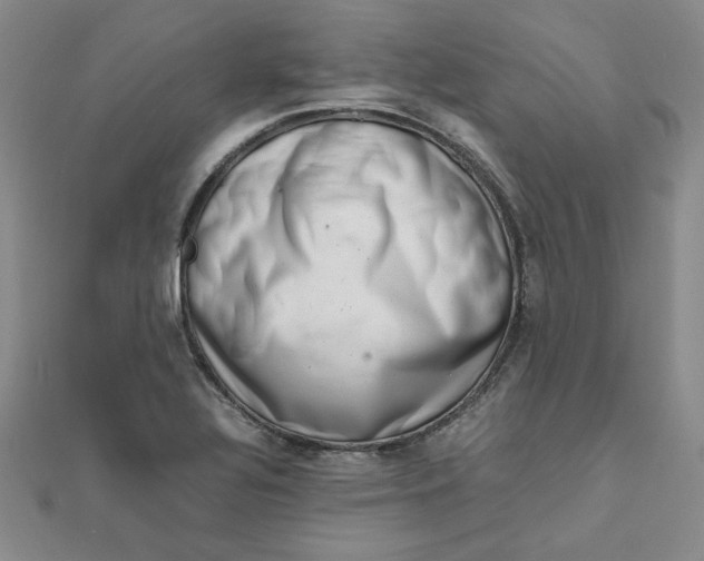 X0000111661320200907311130