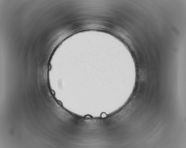 X0000111661322200907311130