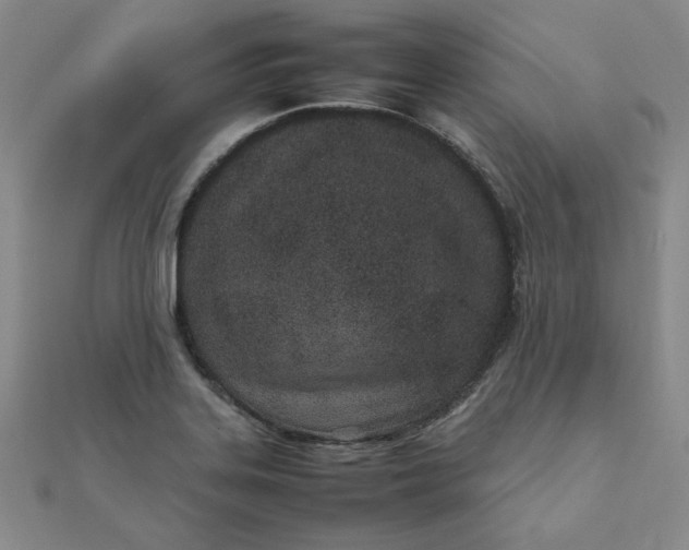 X0000111661323200907311130