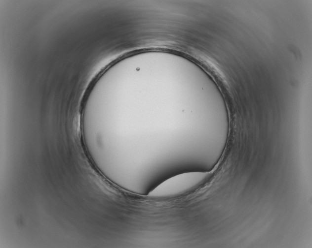 X0000111661324200907311130