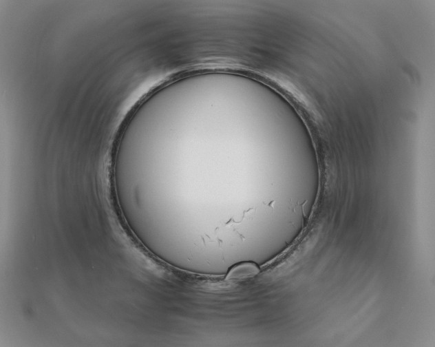 X0000111661325200907311130