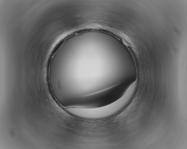 X0000111661326200907311130