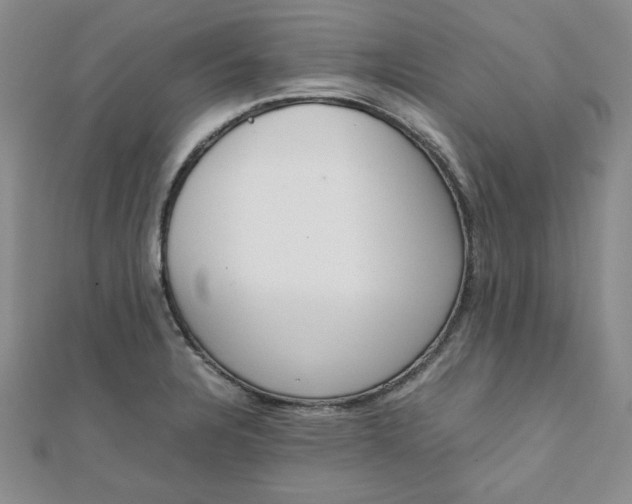 X0000111661328200907311130